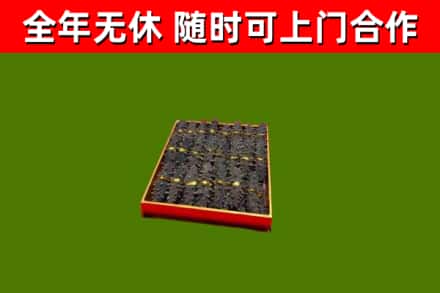 沙洋烟酒回收海参.jpg